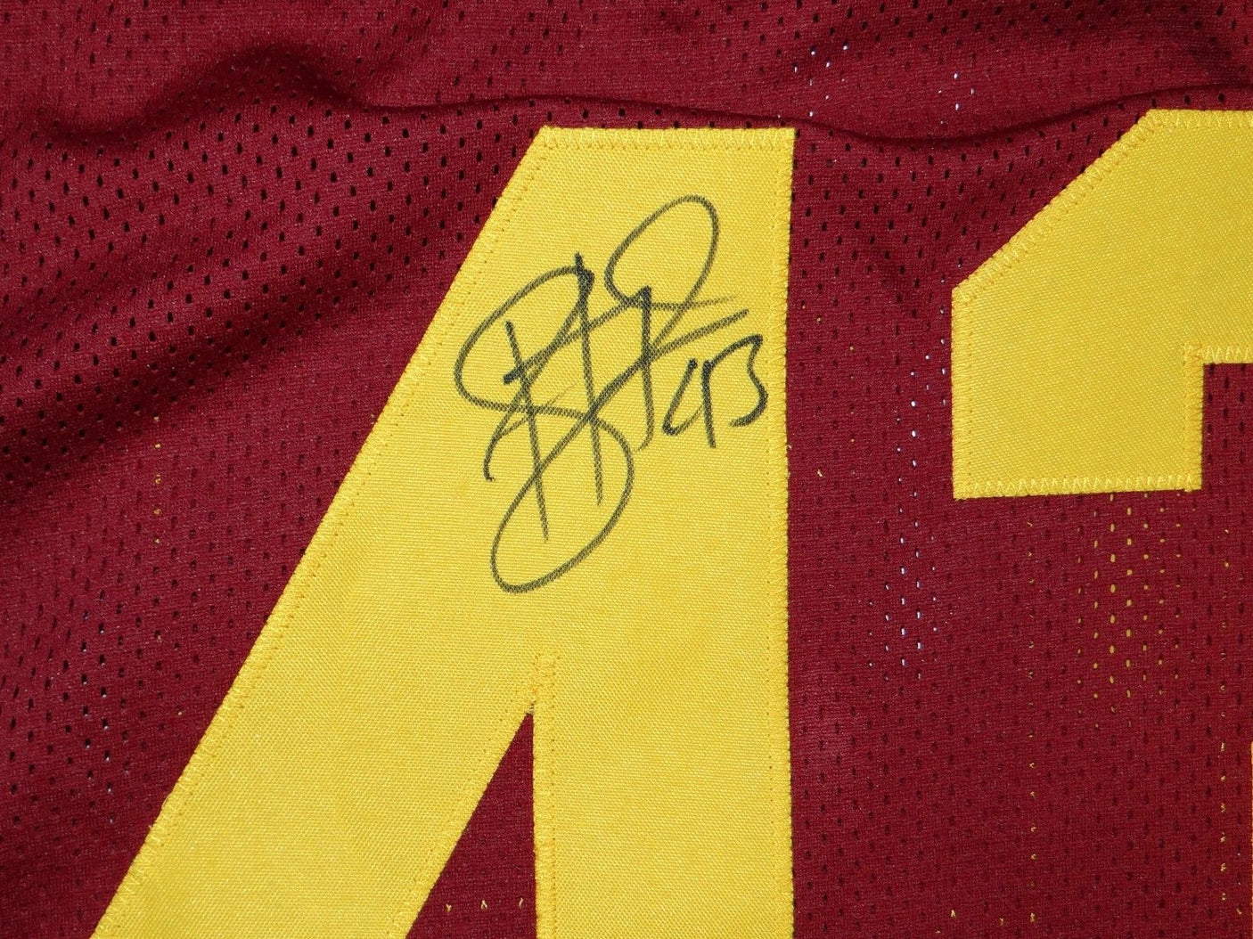 Troy Polamalu Signed / Autographed Maroon Jersey- JSA W Authenticated Image 2