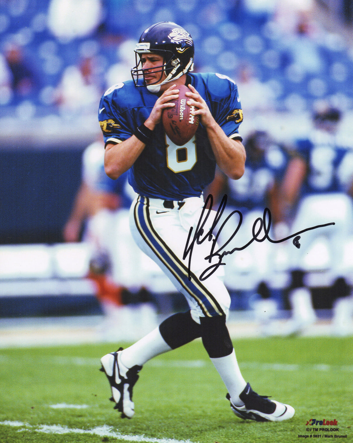 Mark Brunell Signed Jaguars Drop Back Action 8x10 Photo (Black Ink)