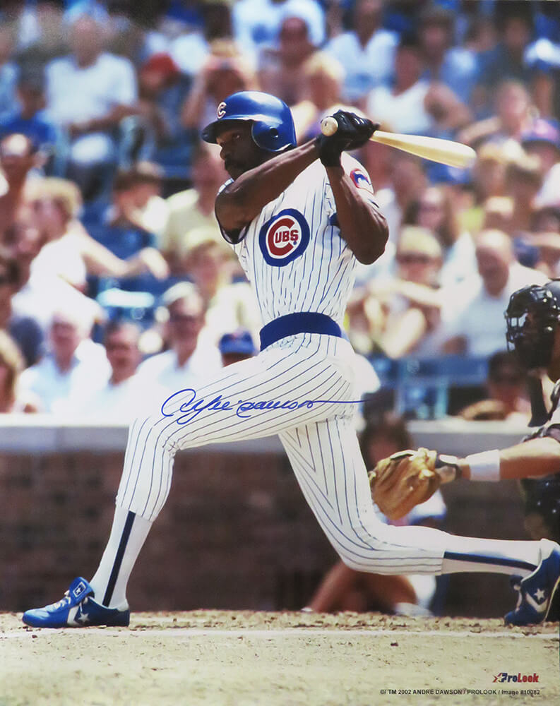 Andre Dawson Signed Chicago Cubs Batting Action 16x20 Photo