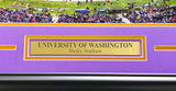 Unsigned Framed 12x36 Panoramic Photo Washington Huskies Night Game Stock #235672