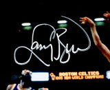 Larry Bird Autographed 16x20 Photo Boston Celtics Beckett BAS Witness Stock #232710