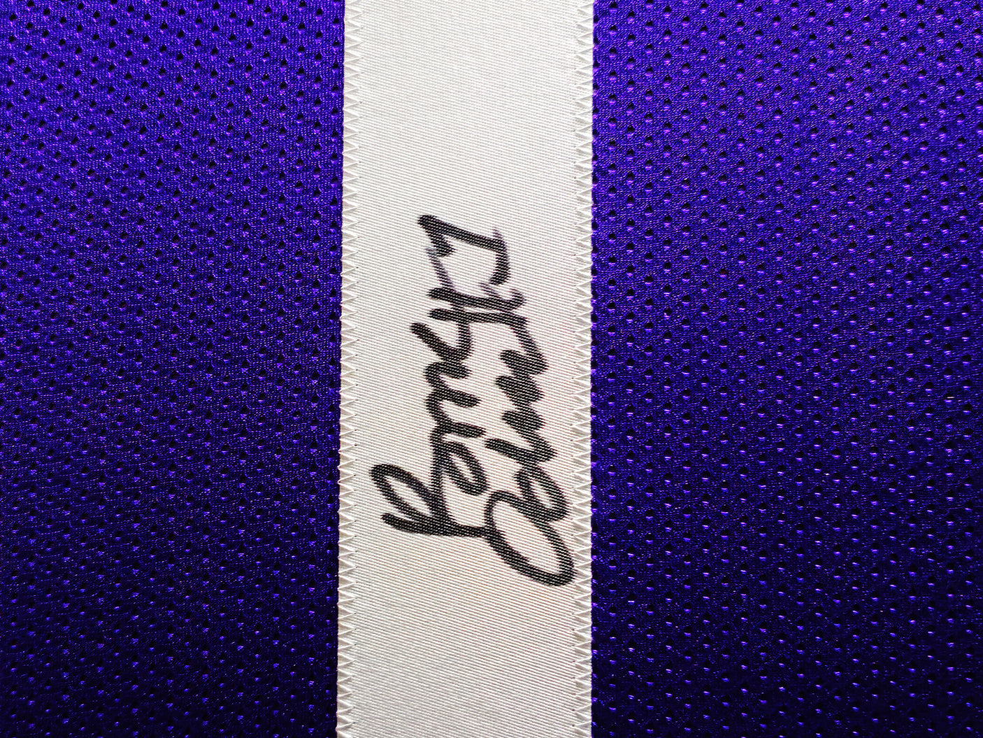 Washington Huskies Rome Odunze Autographed Framed Purple Jersey Beckett BAS Witness Stock #230203