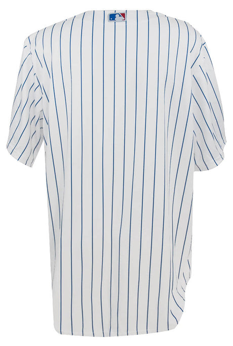 Dexter Fowler Signed Chicago Cubs White Pinstripe Majestic Replica Baseball Jersey w/2016 WS Champs