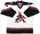 Coyotes Wayne Gretzky Signed CCM Doug Brewer Hand Painted Jersey JSA #YY53017