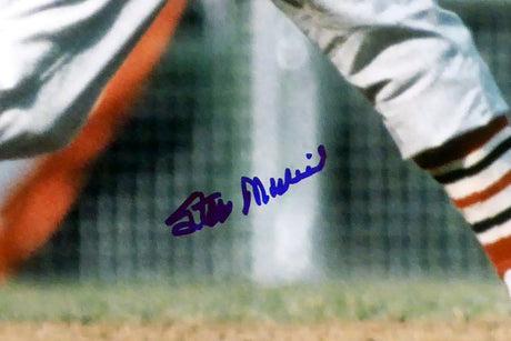 Stan Musial Autographed 16x20 Photo St. Louis Cardinals PSA/DNA Stock #18608