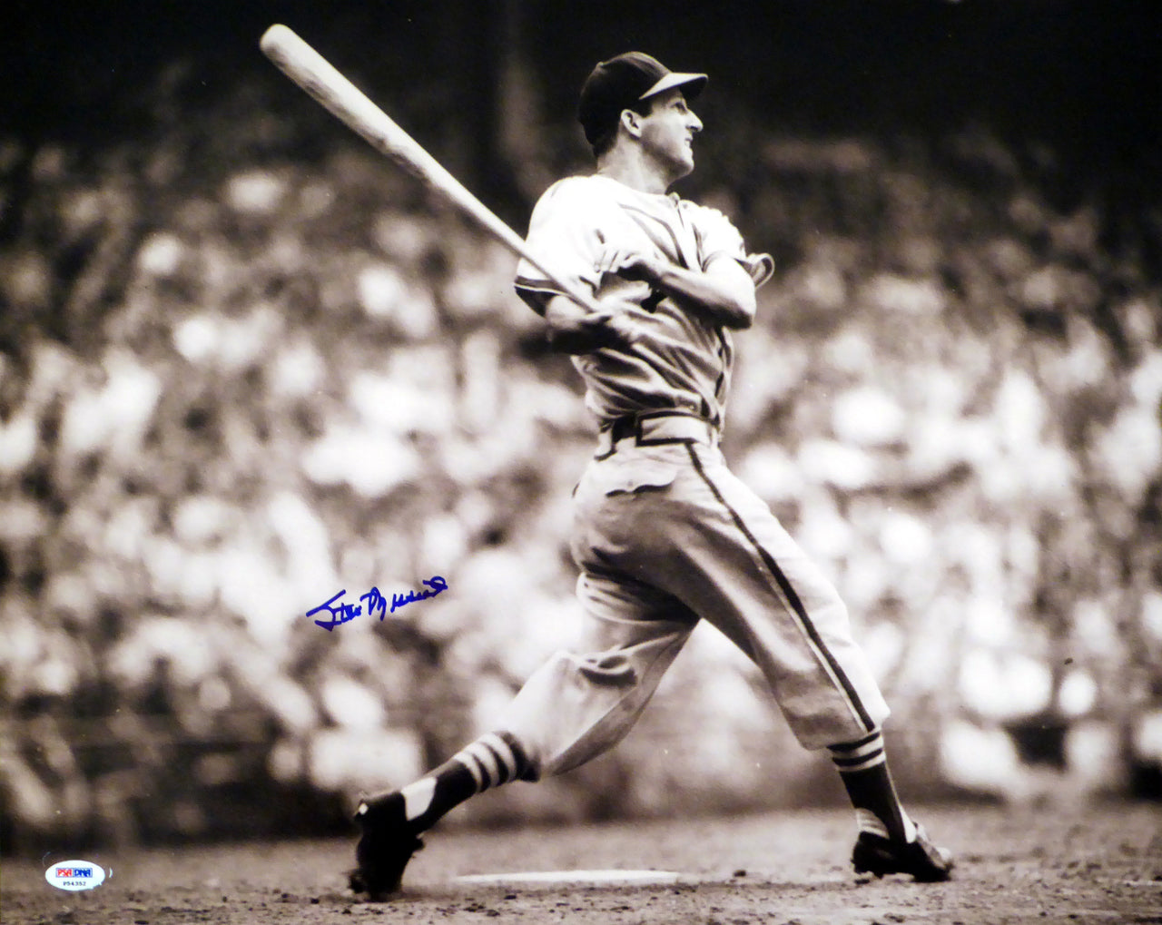 Stan Musial Autographed 16x20 Photo St. Louis Cardinals PSA/DNA Stock #18609