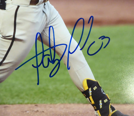 Fernando Tatis Jr. Autographed 16x20 Photo San Diego Padres Beckett BAS Stock #181117