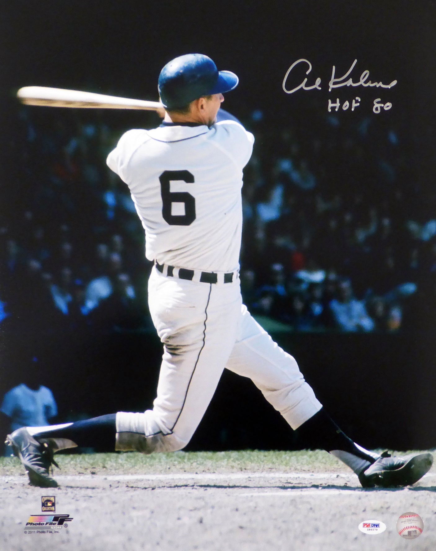 Al Kaline Autographed 16x20 Photo Detroit Tigers "HOF 80" PSA/DNA Stock #79715