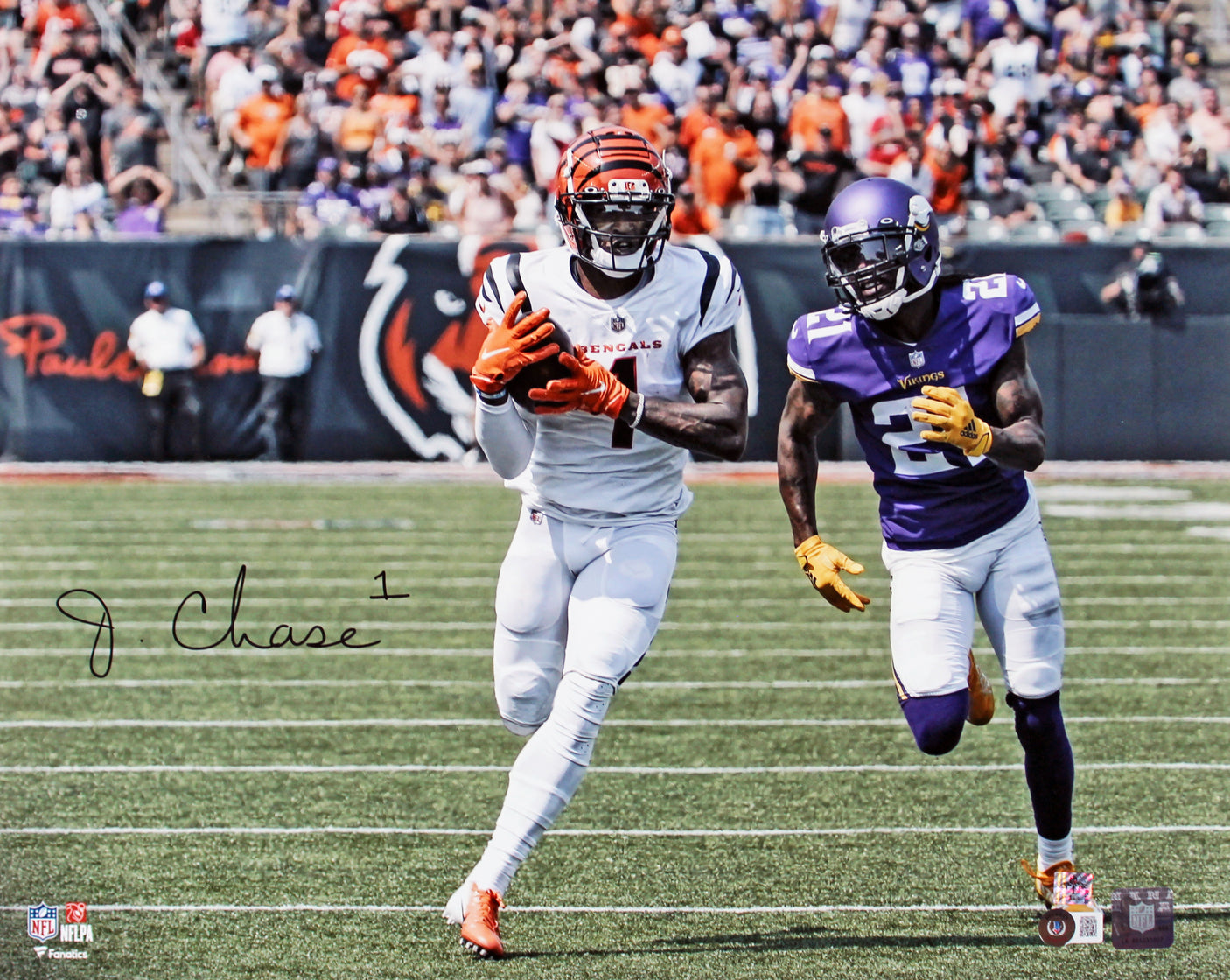 Bengals Ja'Marr Chase Signed 16x20 Horizontal Photo vs. Vikings BAS Witnessed